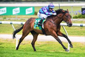 Jenni Express & Noel Callow Yarra Valley 18 Dec 2020 Jenni Express & Noel Callow Yarra Valley 18 Dec 2020